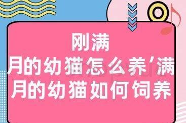 刚满月狗狗怎么养活 刚满月狗狗怎么养活