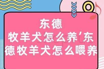 东德牧羊犬怎么养肩高长高 东德牧羊犬怎么养肩高长高