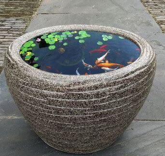 鲫鱼怎么养水缸