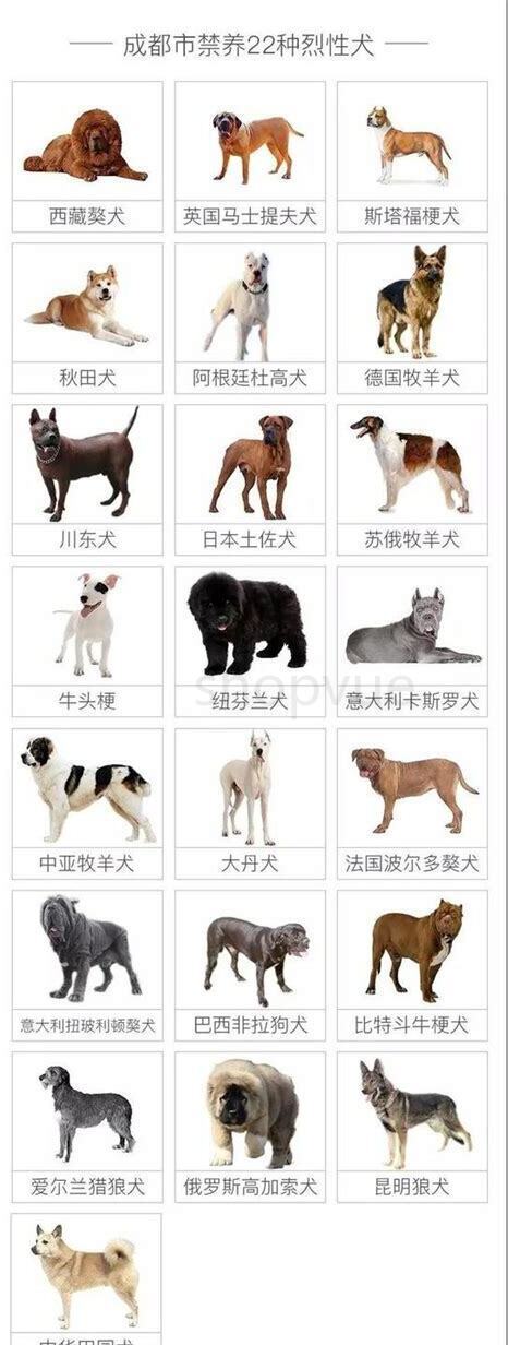 狗狗禁养了怎么办