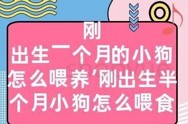 半个月的狗怎么养