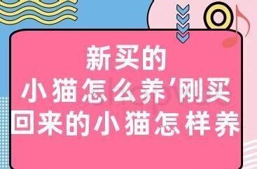 怎么养刚买的狗狗