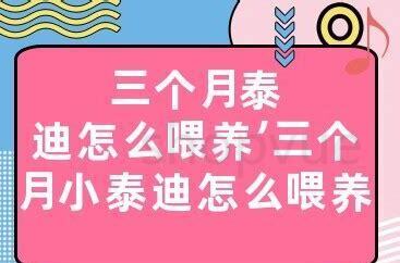 六个月泰迪怎么养