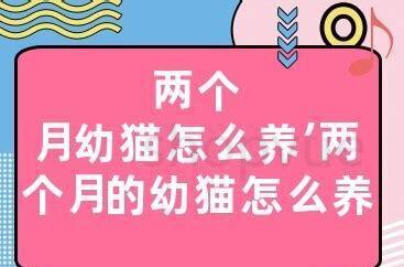 两个月幼猫怎么养