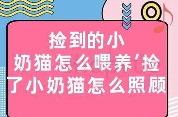 睁眼的小奶猫怎么养 睁眼的小奶猫怎么养