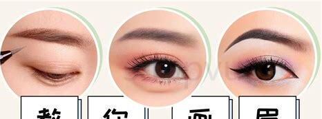 刚抓回来的画眉鸟怎么办
