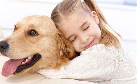 怎么养好德牧幼犬 怎么养好德牧幼犬