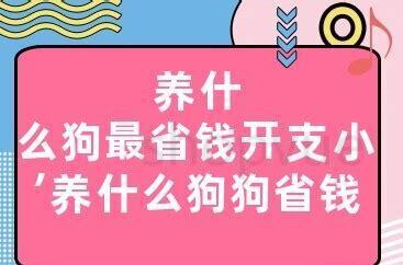 一个月大的狗怎么养