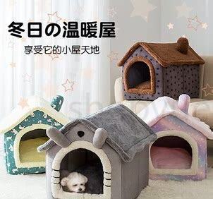 租房子怎么养狗好