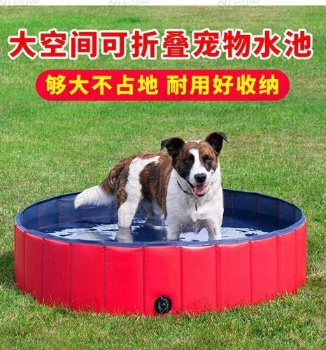 水池怎么养锦鲤鱼