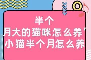 半个月狗狗怎么养 半个月狗狗怎么养