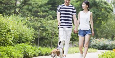 郑州怎么养狗