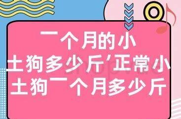 一个月奶狗怎么养 一个月奶狗怎么养