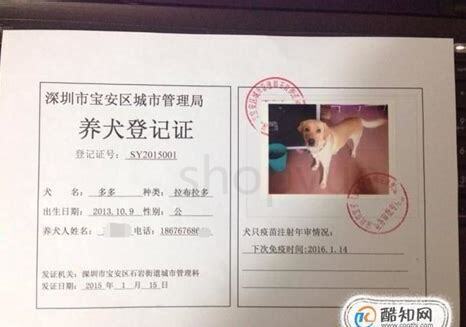 深圳养狗证怎么办 深圳养狗证怎么办