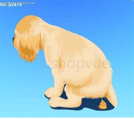 狗狗一边拉屎一边惨叫