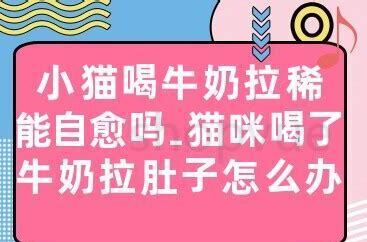 小猫拉稀怎么办 两月
