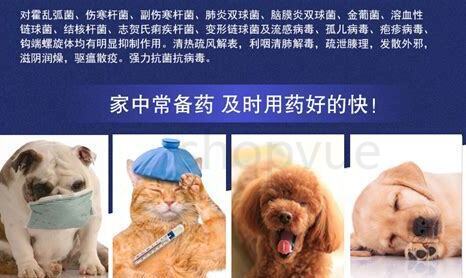 狗咳嗽喘的厉害吃什么药见效最快