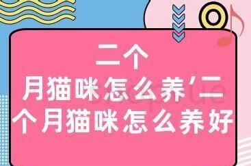 二个月猫咪怎么养活