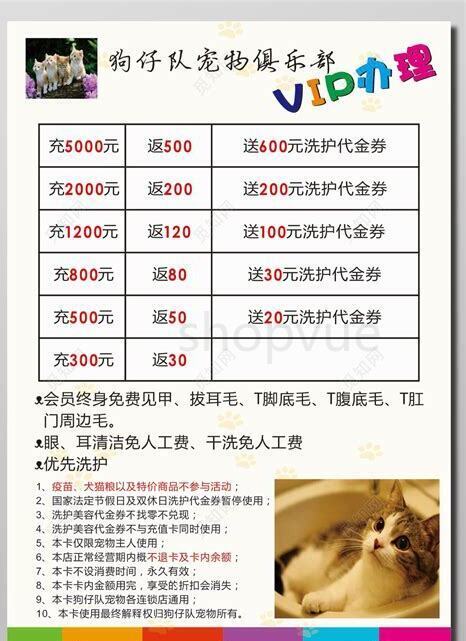 狗仔鲸养几条好