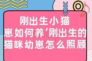 红箭幼崽怎么养的