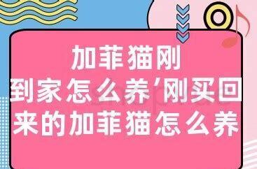 小猫刚到家怎么养