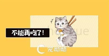 猫穷很费钱吗，为什么说养猫穷三代
