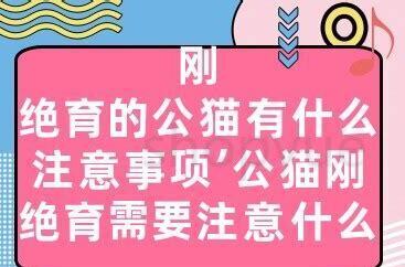 猫掉牙是怎么了,猫掉牙的原因