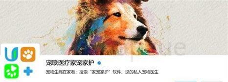 刚买回来小猫怎么养