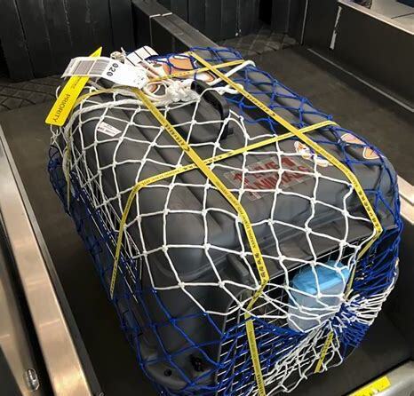 猫咪怎么坐飞机,飞机托运宠物猫怎么办理手续