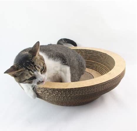 猫薄荷对猫有危害么,猫薄荷的正确使用方法