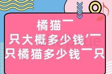 德文猫贵不贵,德文猫大概多少一只幼崽 德文猫贵不贵,德文猫大概多少一只幼崽