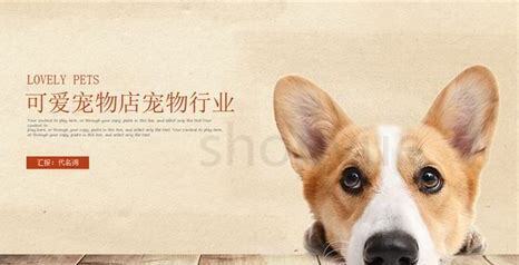 办狗证需要什么资料,办一个狗证多少钱