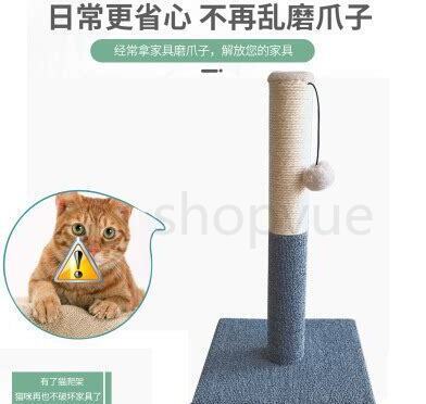 猫咪老是抓门影响休息怎么办,猫咪晚上一直叫还刨门