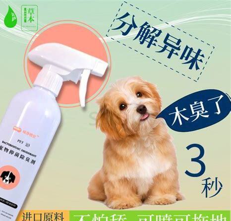 家里养狗怎么除臭最有效