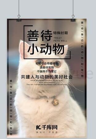 希望流浪猫能过好的句子,喂流浪猫因果报应