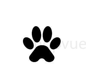 猫爪病毒是什么症状,猫爪病毒是什么病毒