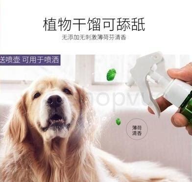 养狗怎么去除异味