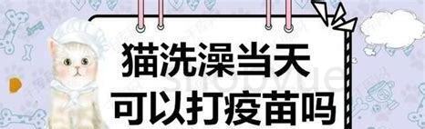 猫洗澡当天可以打疫苗吗