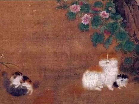 怎么养宠物猫挣钱
