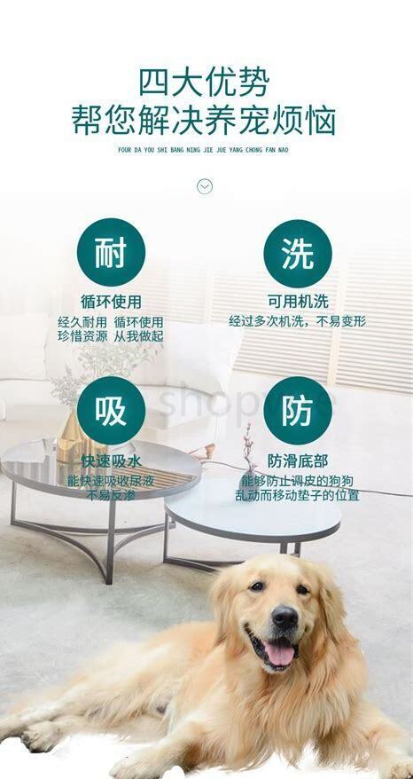 狗狗饭后隔了几个小时吐了