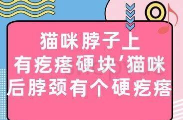 猫脖子里面有个圆疙瘩