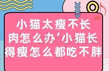 狗狗瘦不长肉怎么办