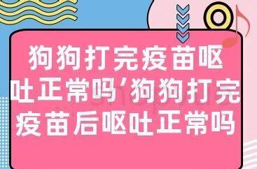 狗狗打完疫苗呕吐正常吗