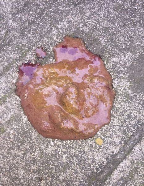 狗拉稀