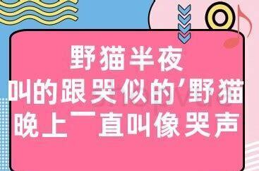 狗呜呜的叫像哭声