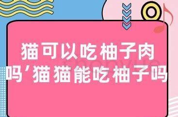 狗狗能吃柚子肉吗