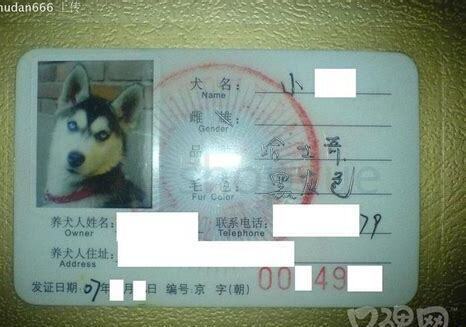 北京养狗证怎么办