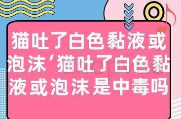 养猫根本不需要买的东西 养猫根本不需要买的东西