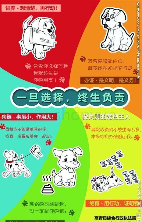 养的狗不叫怎么办