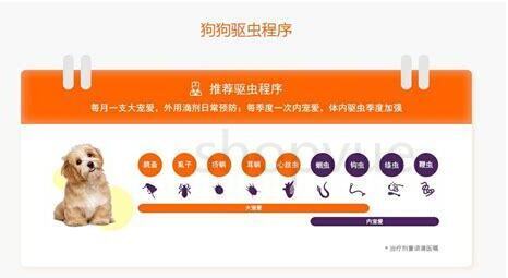 养宠物预防寄生虫感染的办法 养宠物预防寄生虫感染的办法